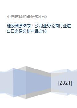 硅膠圈套圖表業(yè)務(wù)在進(jìn)出口貿(mào)易中的定位與網(wǎng)上貿(mào)易代理分析